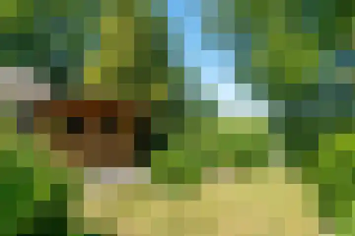D Wiersmastrjitte 33 Kollumersweach thumbnail 4