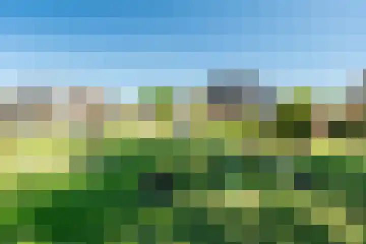 D Wiersmastrjitte 33 Kollumersweach thumbnail 40