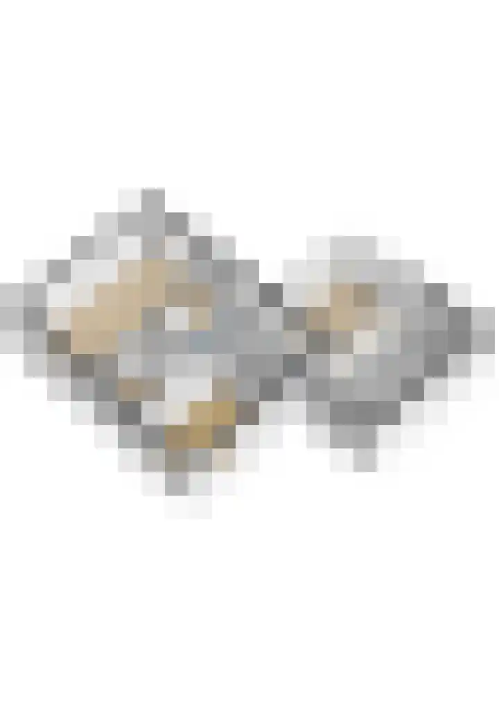 D Wiersmastrjitte 33 Kollumersweach thumbnail 49