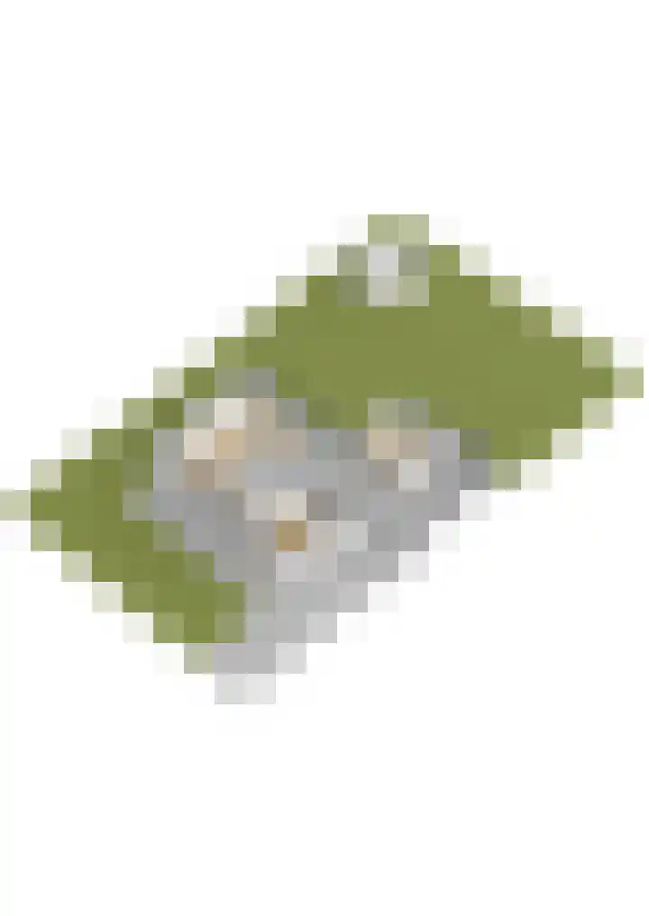 D Wiersmastrjitte 33 Kollumersweach thumbnail 53