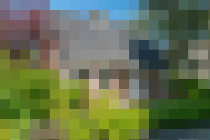 D Wiersmastrjitte 33 Kollumersweach thumbnail 6