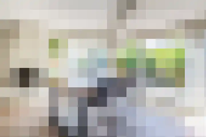 Da. A.M.L. Frevelstraat 15 Dokkum thumbnail 13
