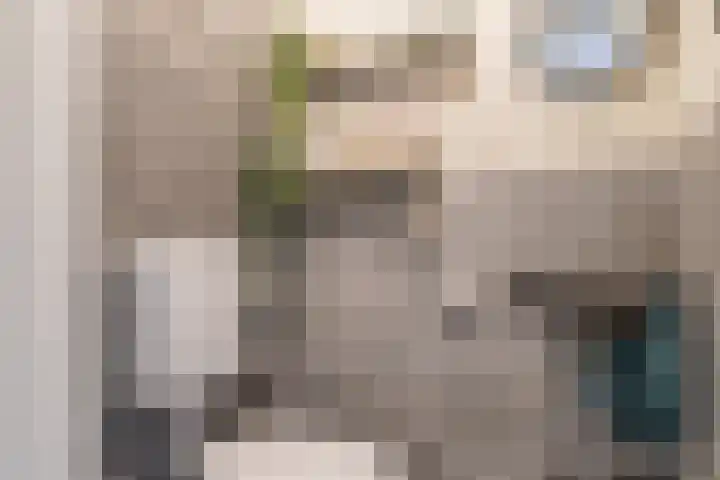 Da. A.M.L. Frevelstraat 15 Dokkum thumbnail 26