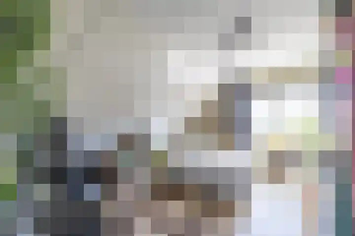 Da. A.M.L. Frevelstraat 15 Dokkum thumbnail 27