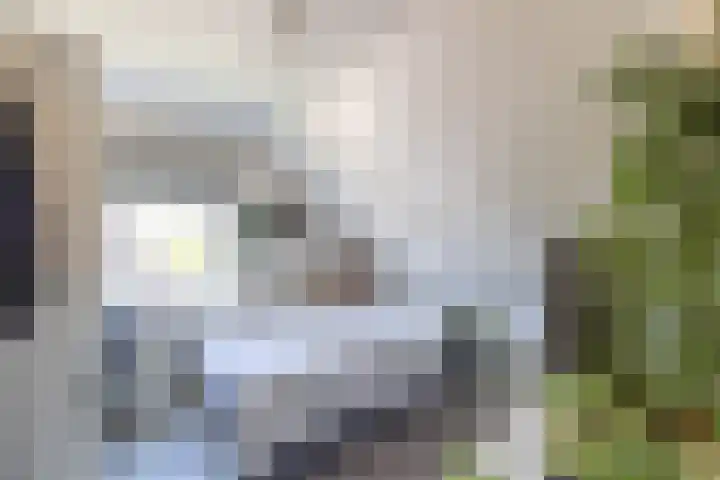 Da. A.M.L. Frevelstraat 15 Dokkum thumbnail 32