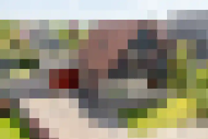 Da. A.M.L. Frevelstraat 15 Dokkum thumbnail 34