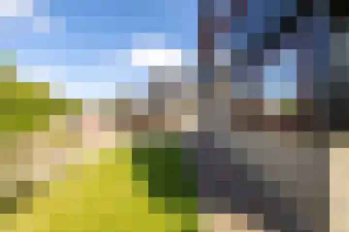 Da. A.M.L. Frevelstraat 15 Dokkum thumbnail 5