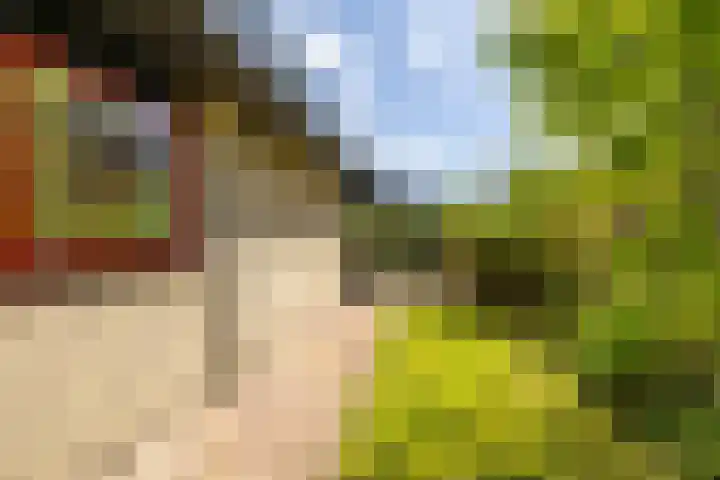 Da. A.M.L. Frevelstraat 15 Dokkum thumbnail 6