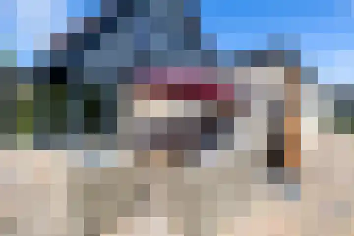 Da. A.M.L. Frevelstraat 15 Dokkum thumbnail 8