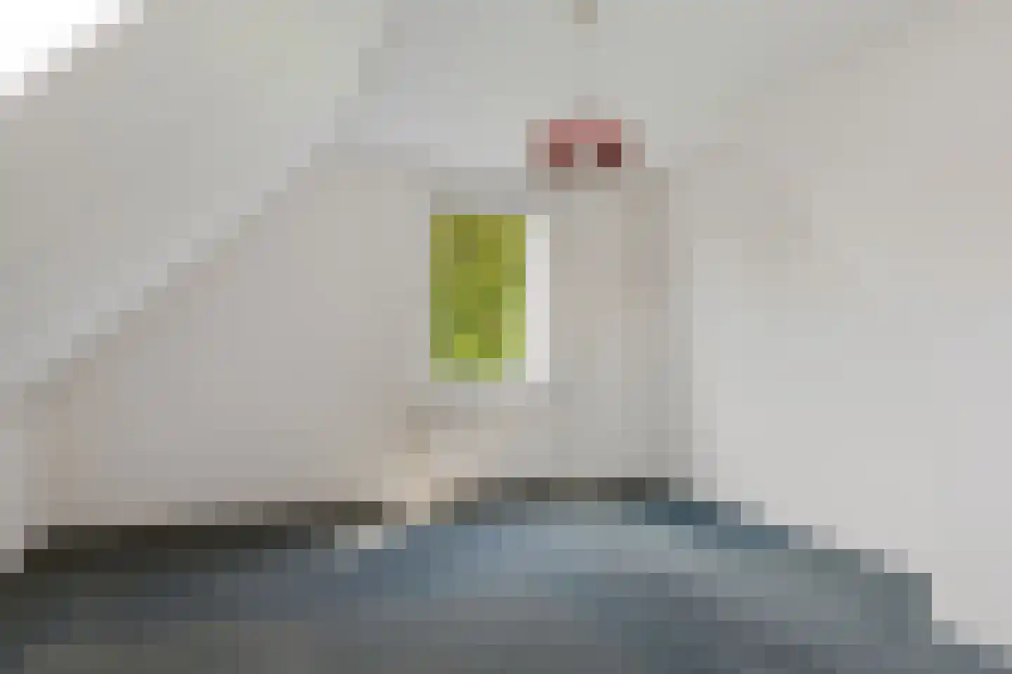 Da. A.M.L. Frevelstraat 32 Dokkum thumbnail 31