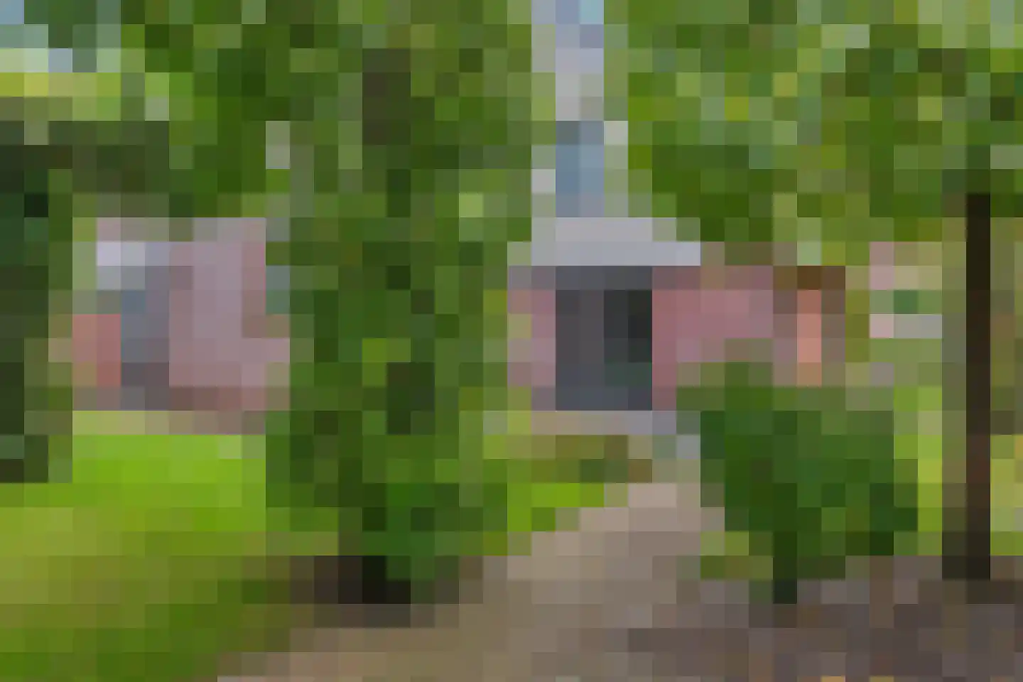 Da. A.M.L. Frevelstraat 32 Dokkum thumbnail 37