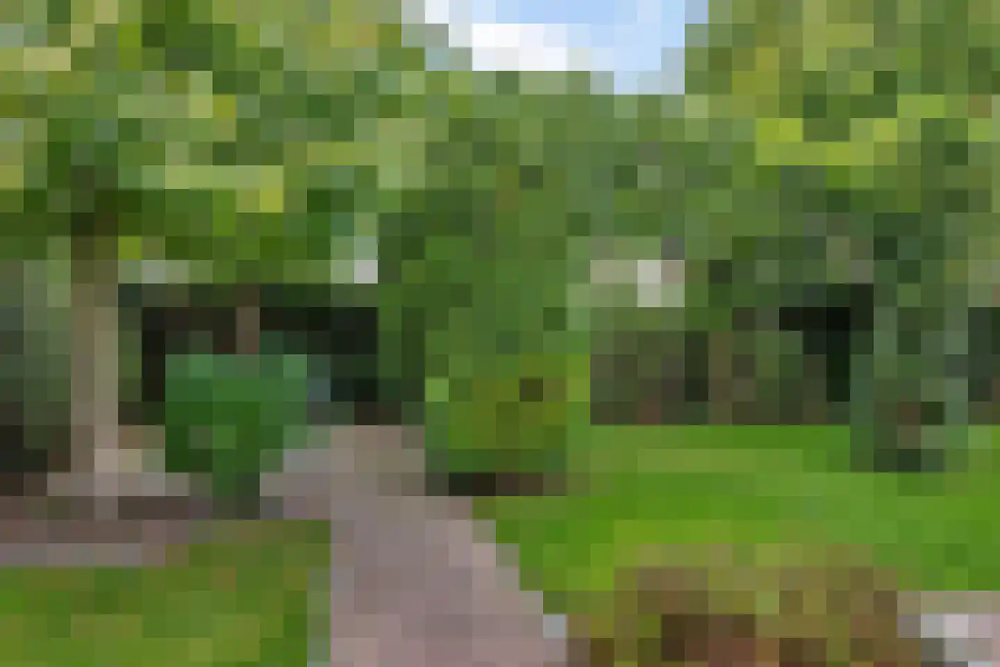 Da. A.M.L. Frevelstraat 32 Dokkum thumbnail 4