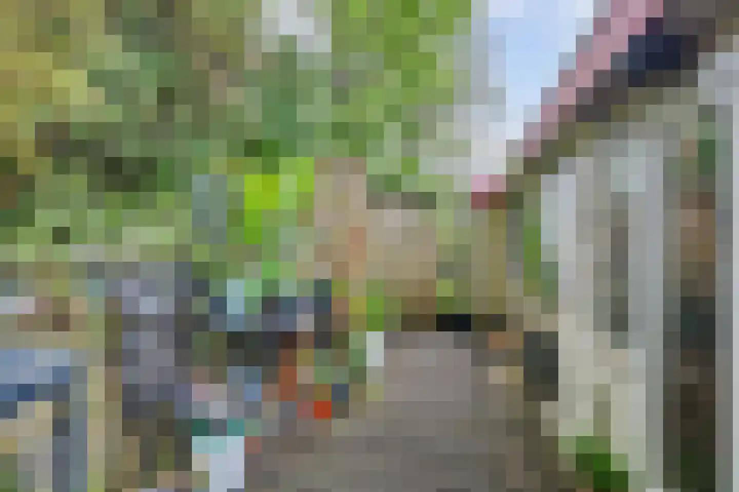 Da Costakade 1 Amsterdam thumbnail 22