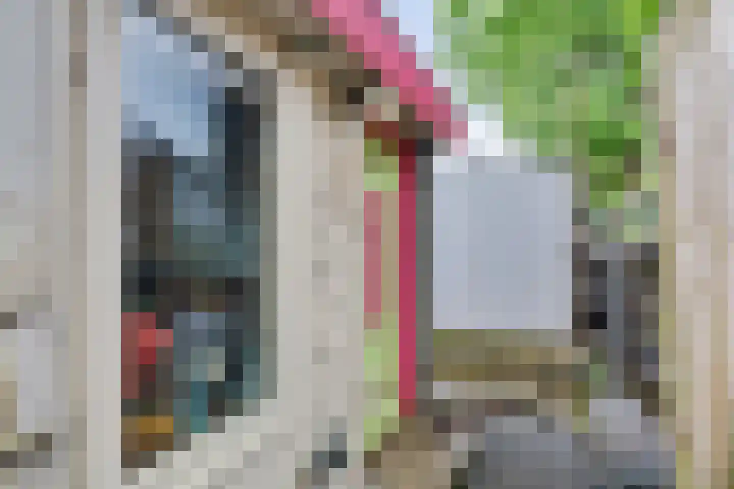 Da Costakade 1 Amsterdam thumbnail 9