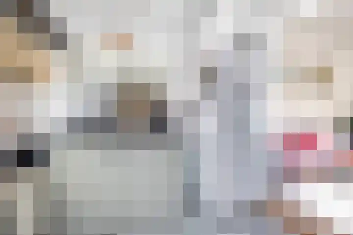Da Costakade 10 Gouda thumbnail 12
