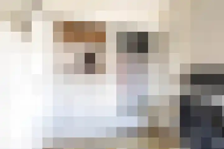 Da Costakade 10 Gouda thumbnail 20