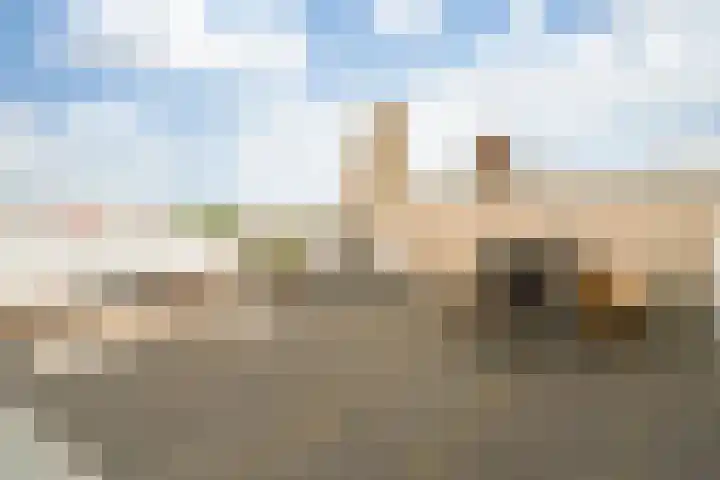Da Costakade 104 H Amsterdam thumbnail 18
