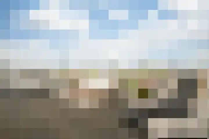 Da Costakade 104 H Amsterdam thumbnail 19
