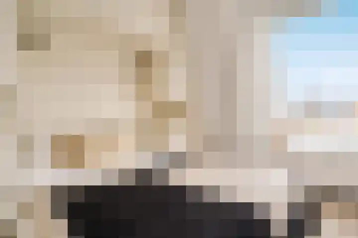 Da Costakade 104 H Amsterdam thumbnail 28