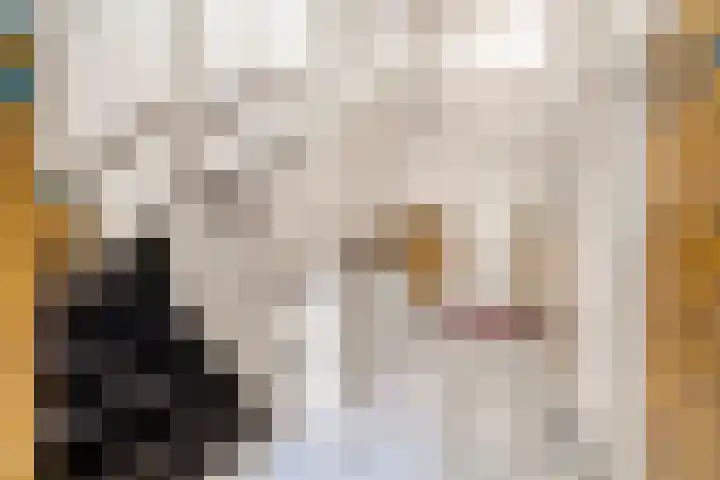 Da Costakade 104 H Amsterdam thumbnail 34