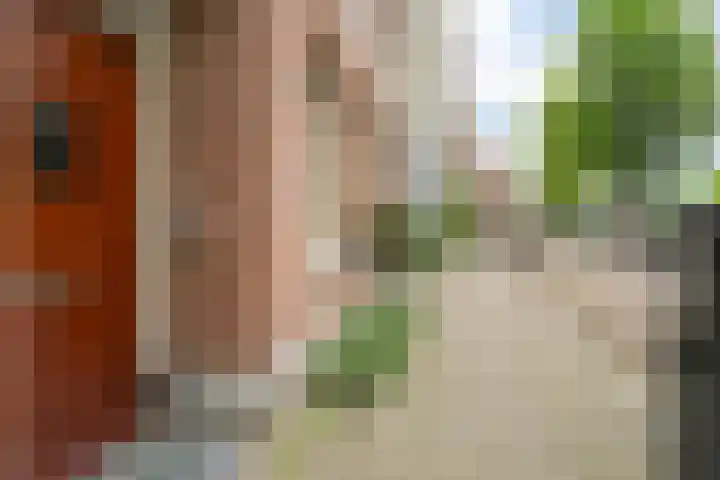 Da Costakade 104 H Amsterdam thumbnail 38