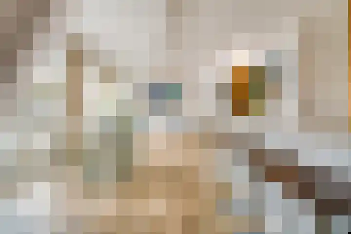 Da Costakade 104 H Amsterdam thumbnail 5