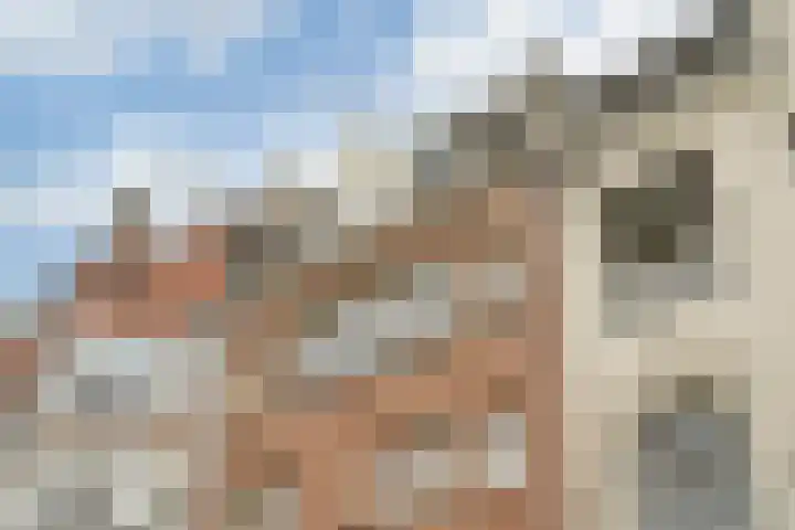 Da Costakade 104 H Amsterdam thumbnail 50