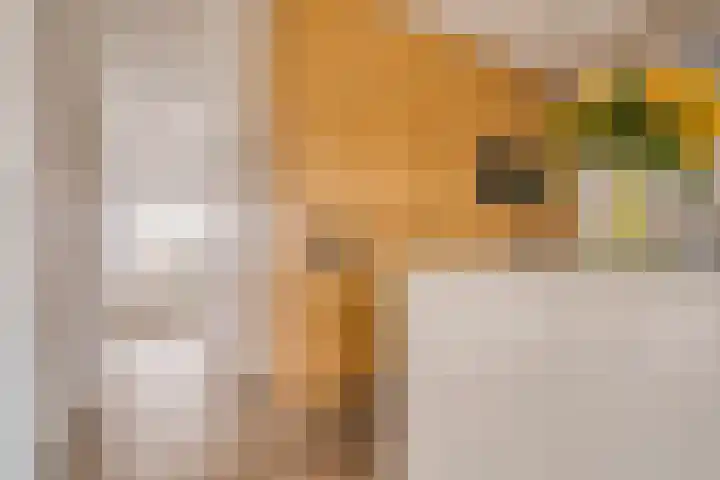 Da Costakade 104 H Amsterdam thumbnail 7