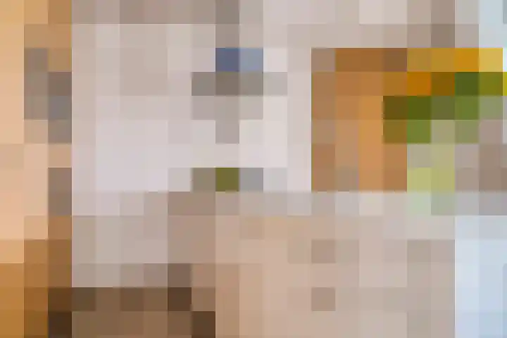 Da Costakade 104 H Amsterdam thumbnail 8