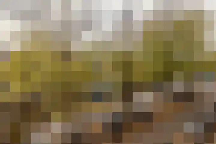 Da Costakade 109 3 Amsterdam thumbnail 28