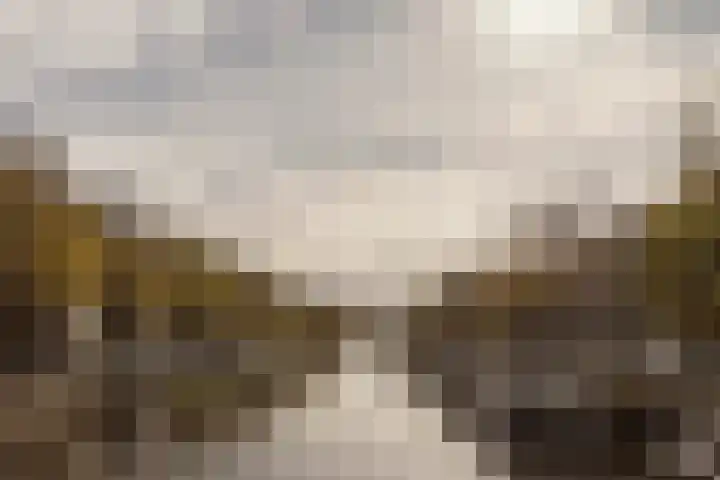 Da Costakade 109 3 Amsterdam thumbnail 29