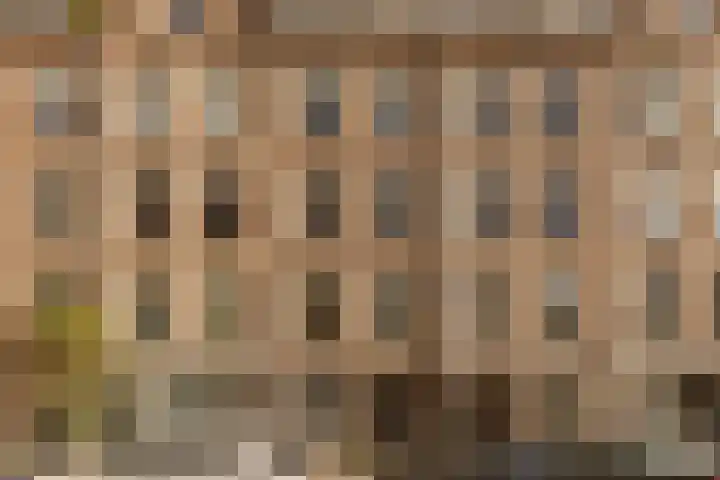 Da Costakade 109 3 Amsterdam thumbnail 4