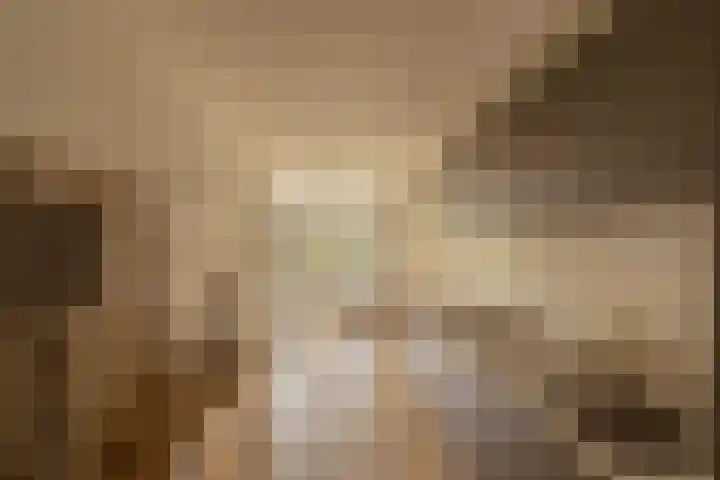 Da Costakade 109 3 Amsterdam thumbnail 5