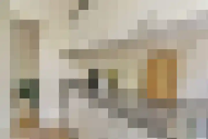 Da Costakade 111 2 Amsterdam thumbnail 11
