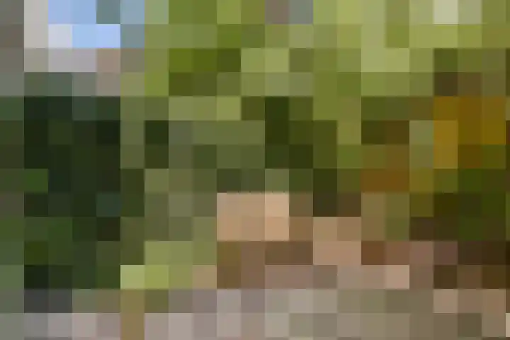 Da Costakade 111 2 Amsterdam thumbnail 12