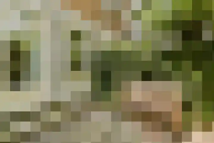 Da Costakade 111 2 Amsterdam thumbnail 13
