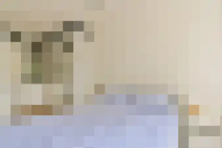 Da Costakade 111 2 Amsterdam thumbnail 15