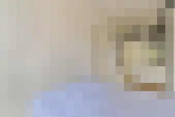Da Costakade 111 2 Amsterdam thumbnail 16