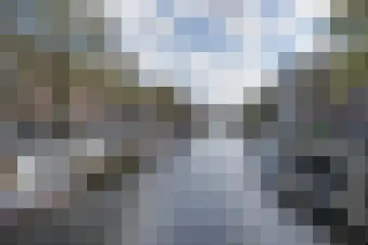 Da Costakade 111 2 Amsterdam thumbnail 18