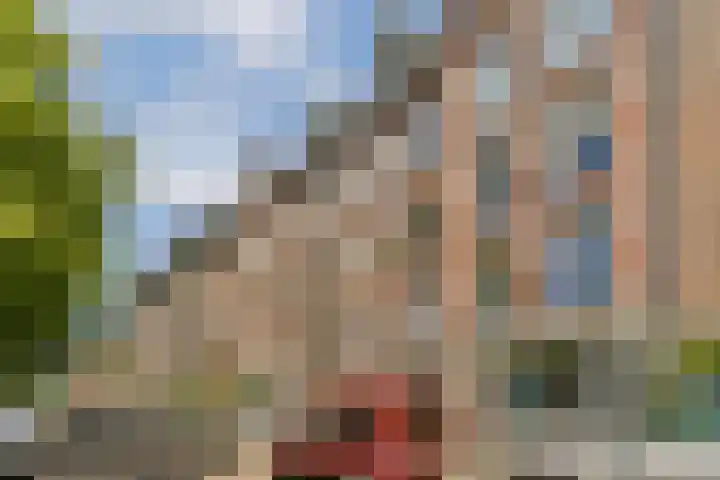 Da Costakade 111 2 Amsterdam thumbnail 23