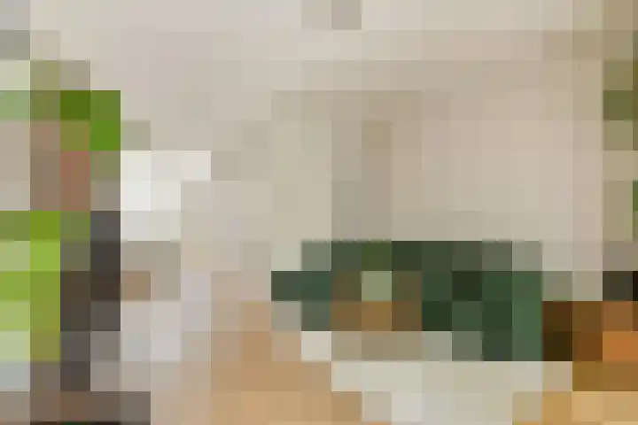 Da Costakade 111 2 Amsterdam thumbnail 6