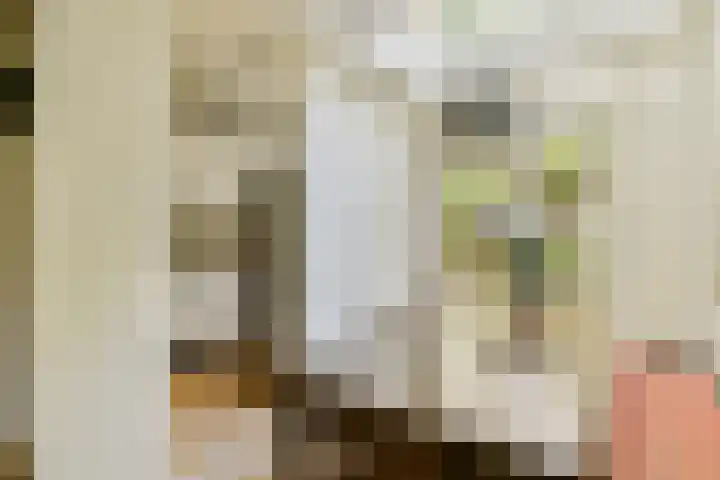 Da Costakade 111 2 Amsterdam thumbnail 9