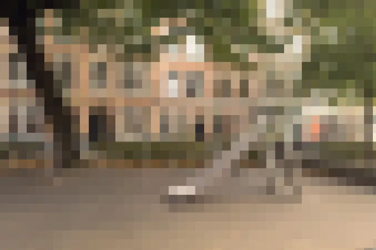 Da Costakade 118 H Amsterdam thumbnail 48