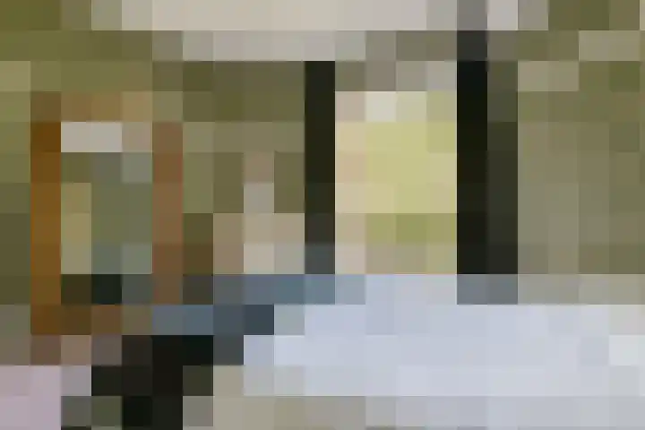 Da Costakade 124 3 Amsterdam thumbnail 13