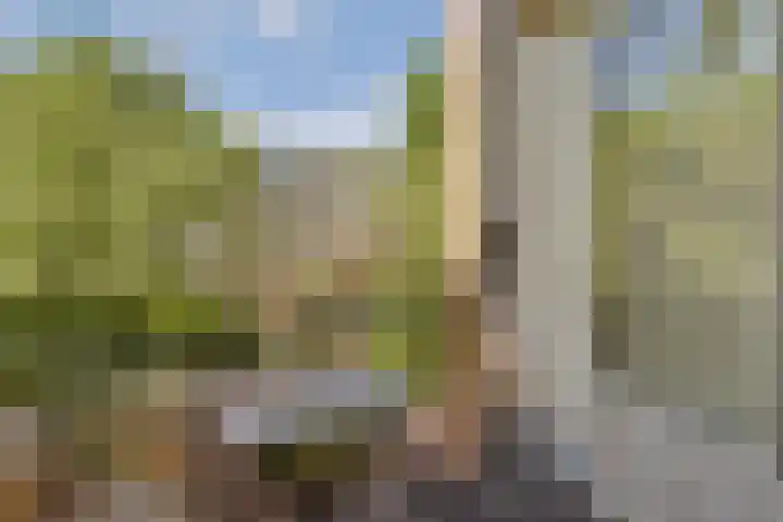 Da Costakade 124 3 Amsterdam thumbnail 15