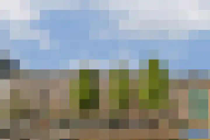 Da Costakade 124 3 Amsterdam thumbnail 22