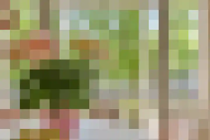 Da Costakade 124 3 Amsterdam thumbnail 5