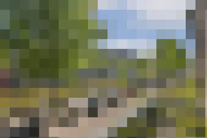 Da Costakade 124 3 Amsterdam thumbnail 6