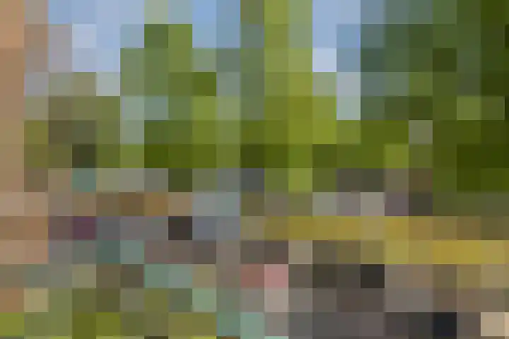 Da Costakade 124 3 Amsterdam thumbnail 7