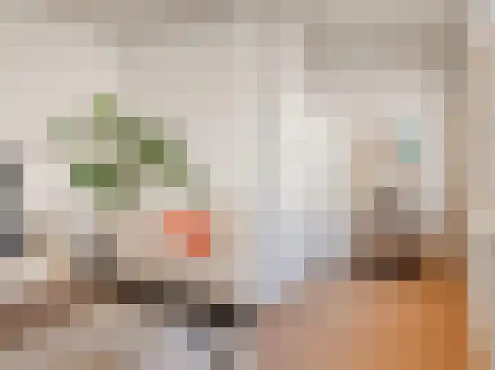 Da Costakade 13 2 Amsterdam thumbnail 11